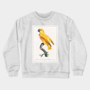 Senegal Parrot (1801—1805) Crewneck Sweatshirt